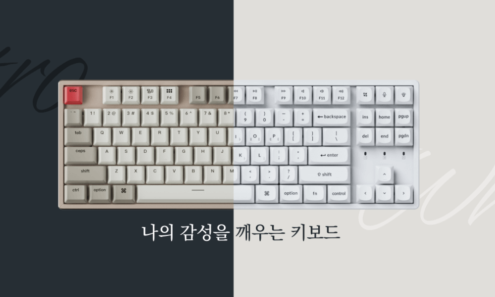 키크론 K8 키보드: 사무용에 초점을 둔 고급 기계식 키보드