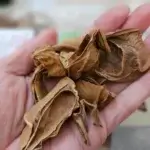 국산 볶은 작두콩차: 건강과 힐링을 동시에, 집에서 즐기는 웰빙 라이프!