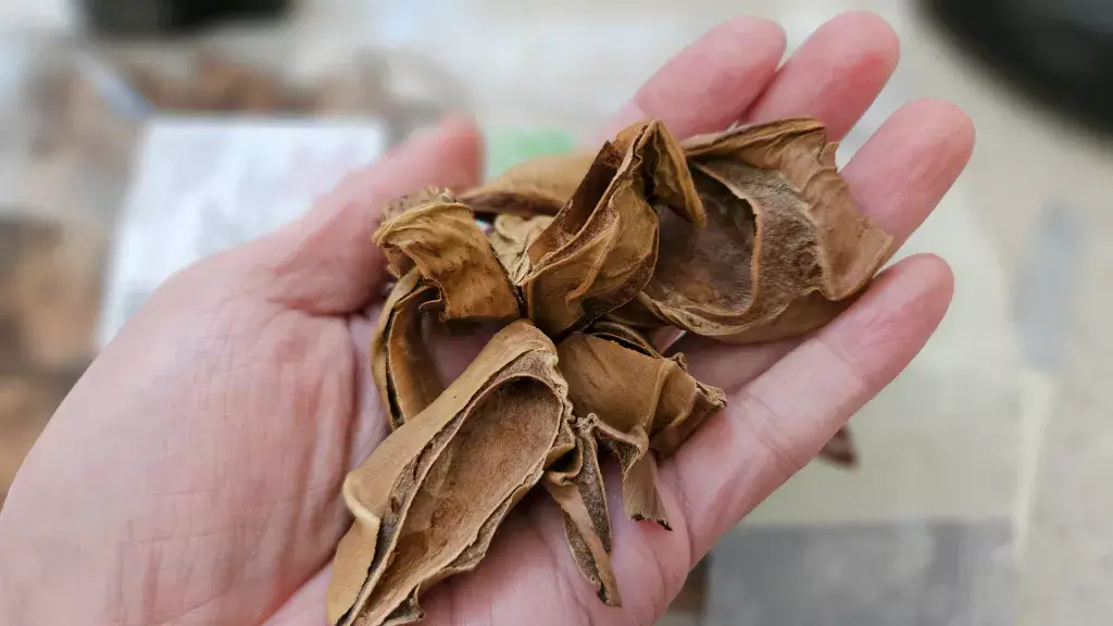 at010320241218 122921 1