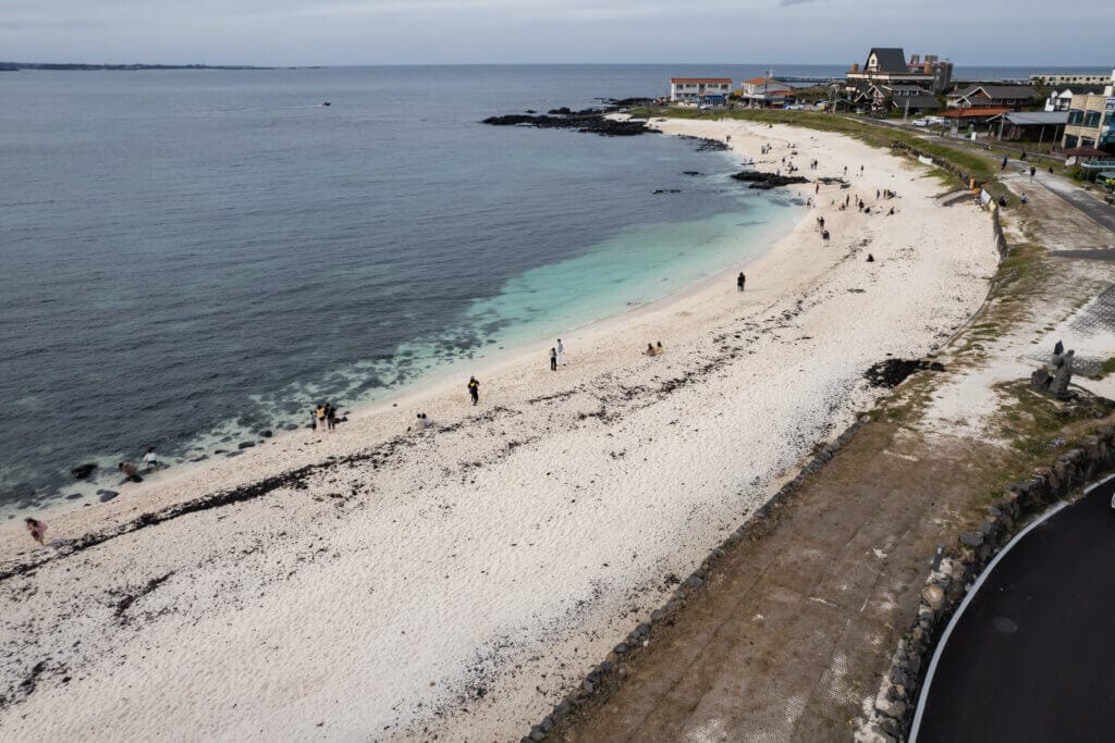 KNM 0438 00 제주 우도 홍조단괴 해빈濟州 牛島 紅藻團塊 海濱 H001